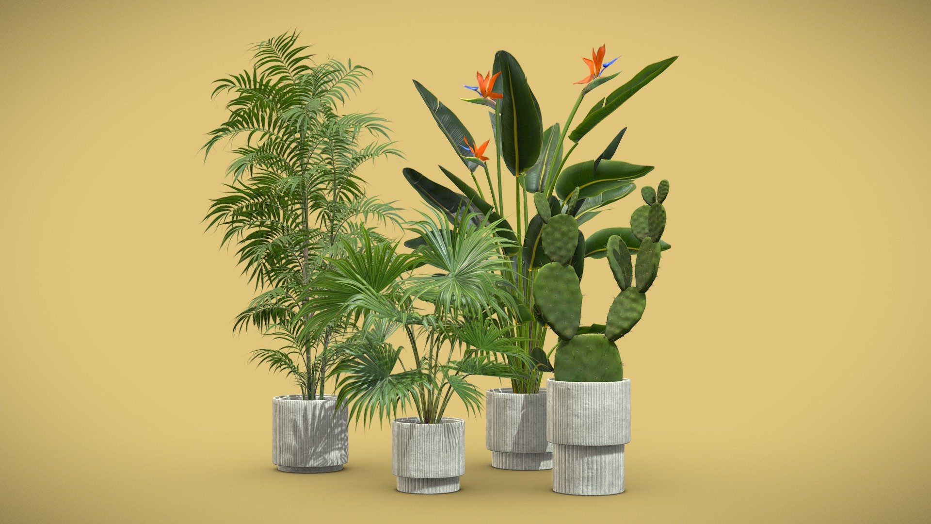 Indoor Plants Pack 59