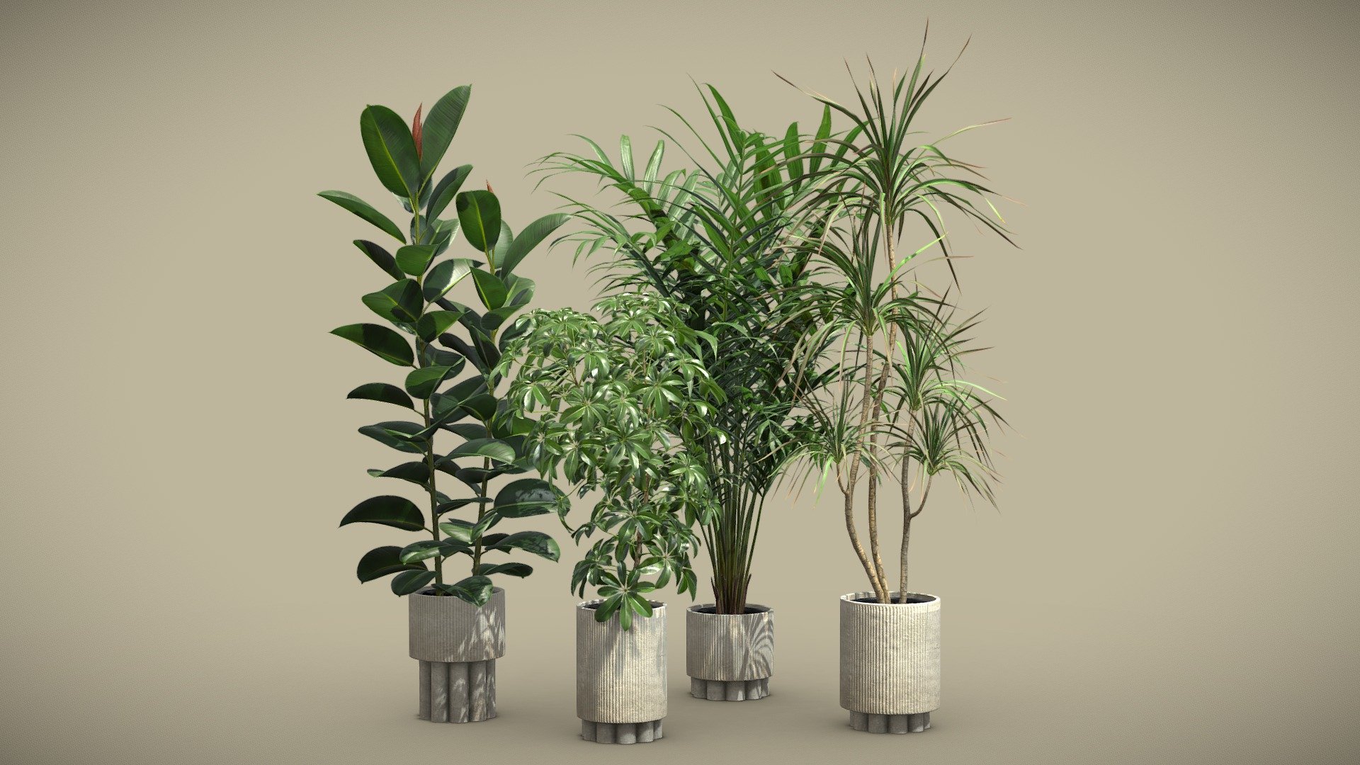 Indoor Plants Pack 60