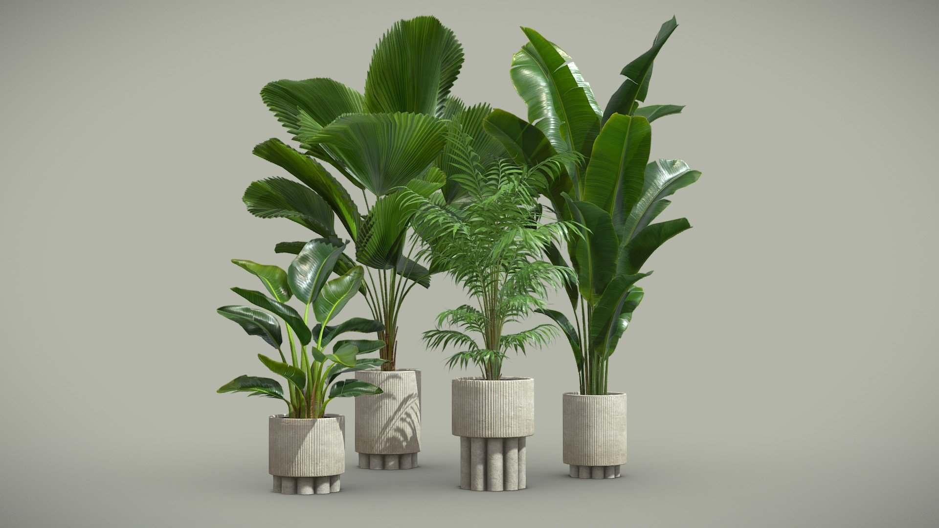 Indoor Plants Pack 61