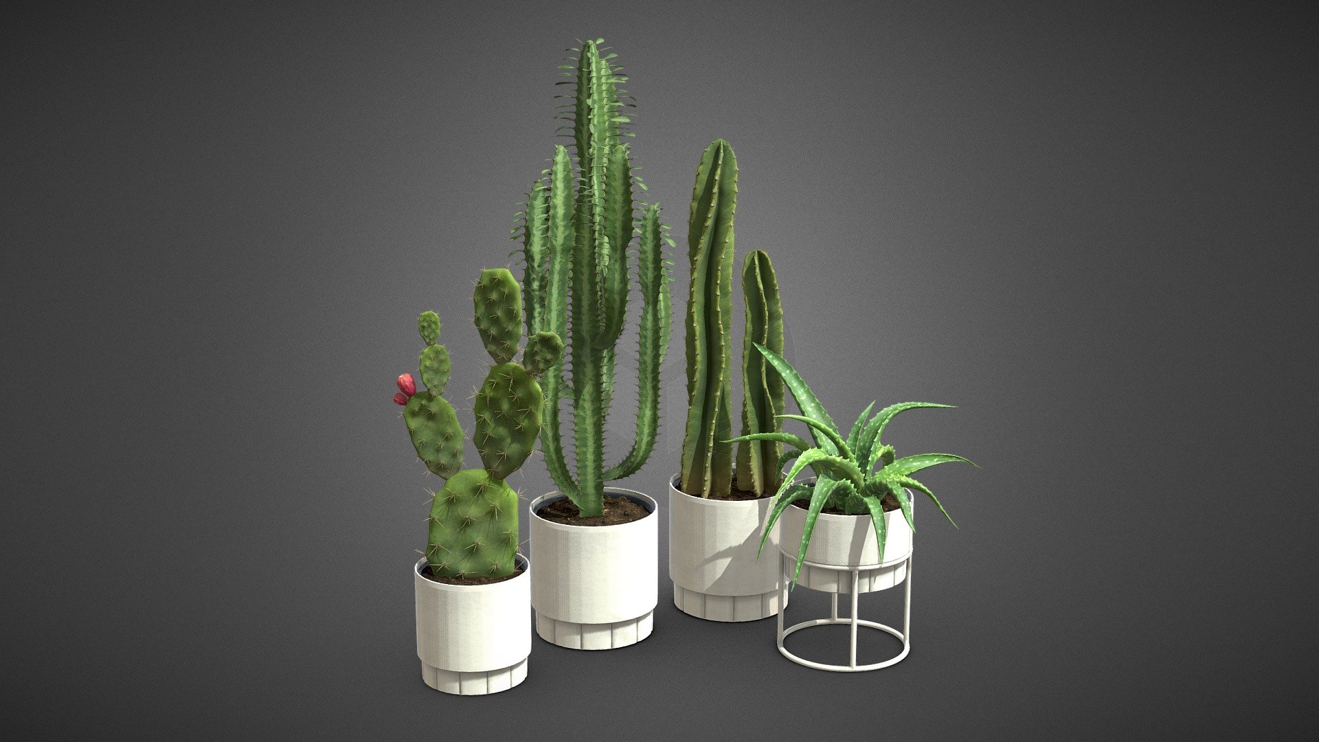 Indoor Plants Pack 63