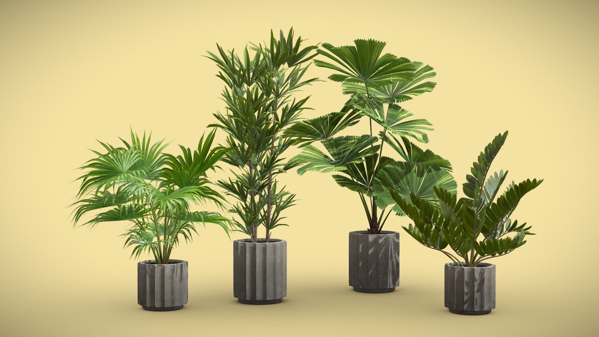 Indoor Plants Pack 66