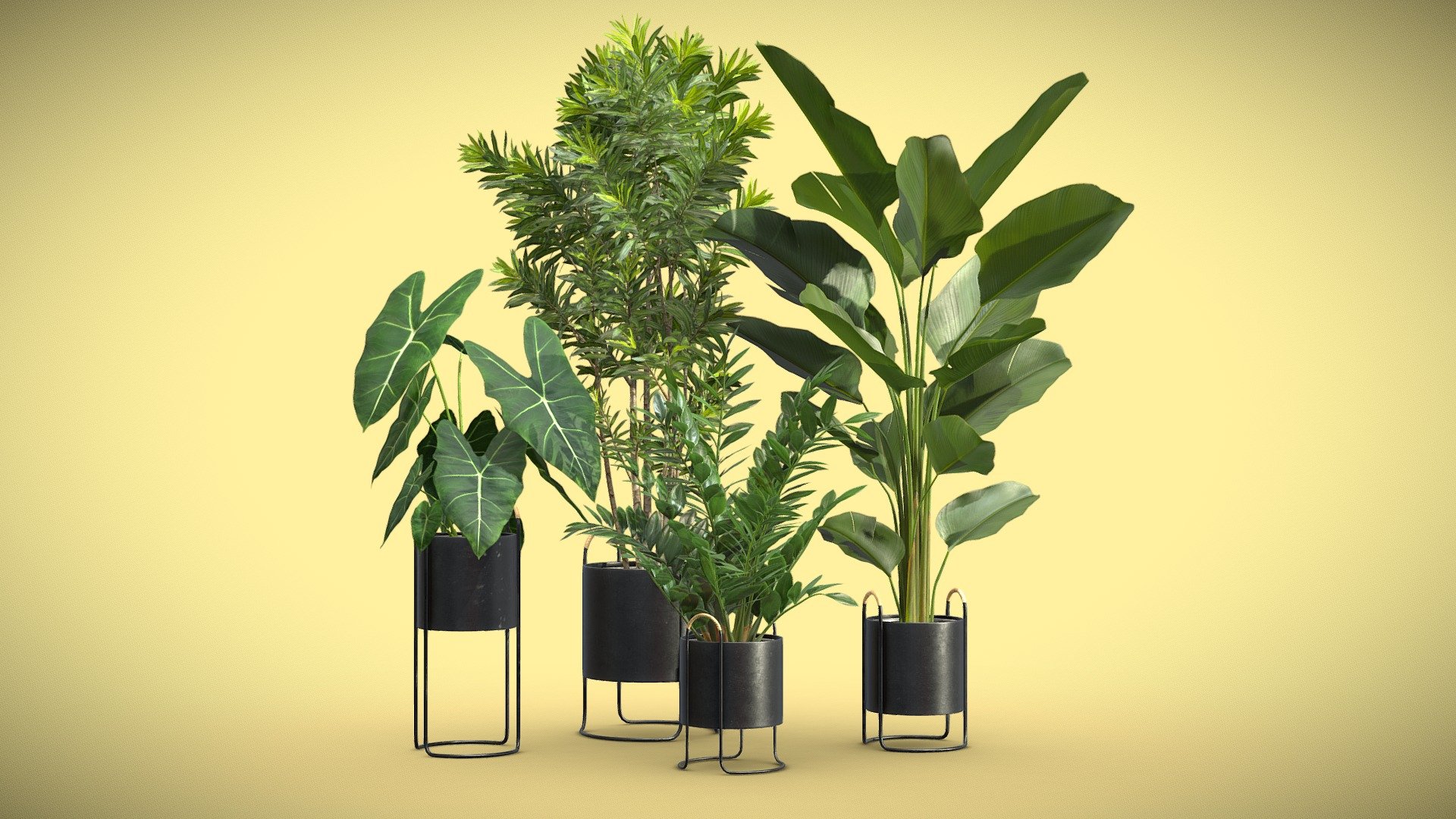 Indoor Plants Pack 67