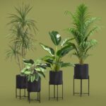 Indoor Plants Pack 68
