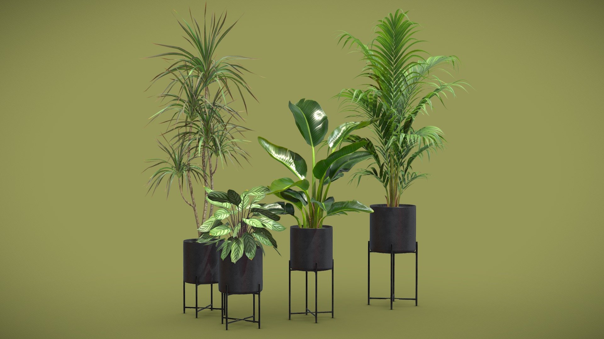 Indoor Plants Pack 68
