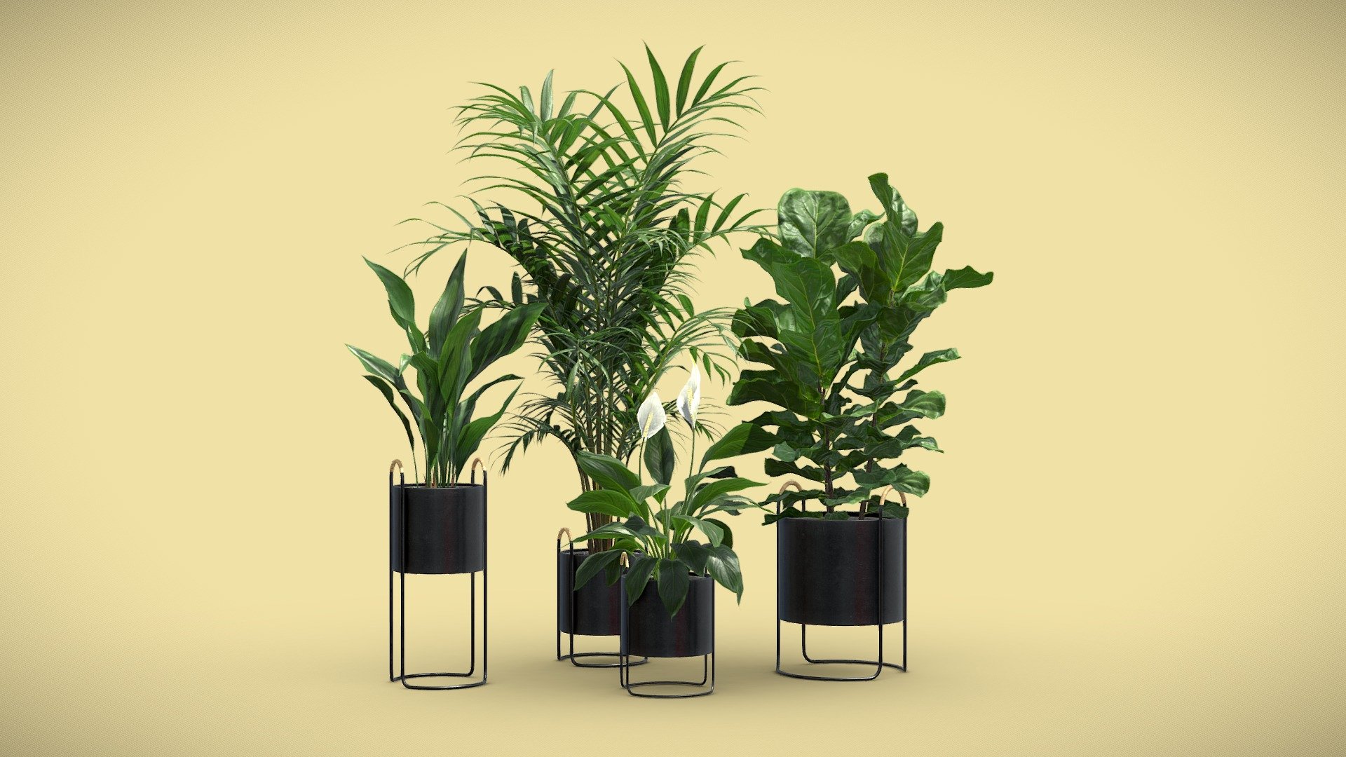 Indoor Plants Pack 69