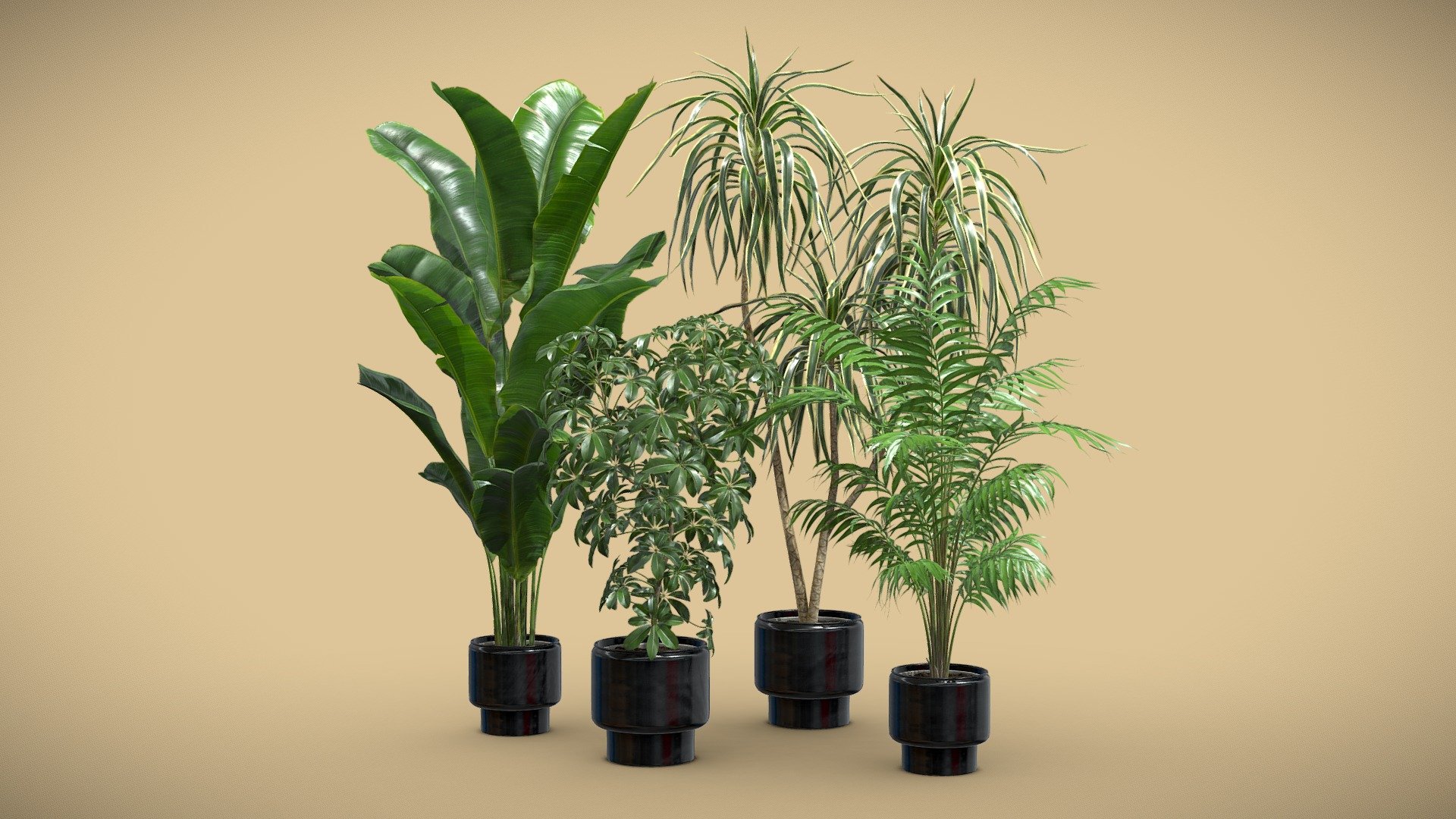 Indoor Plants Pack 70