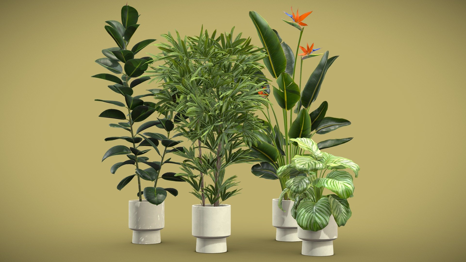 Indoor Plants Pack 72