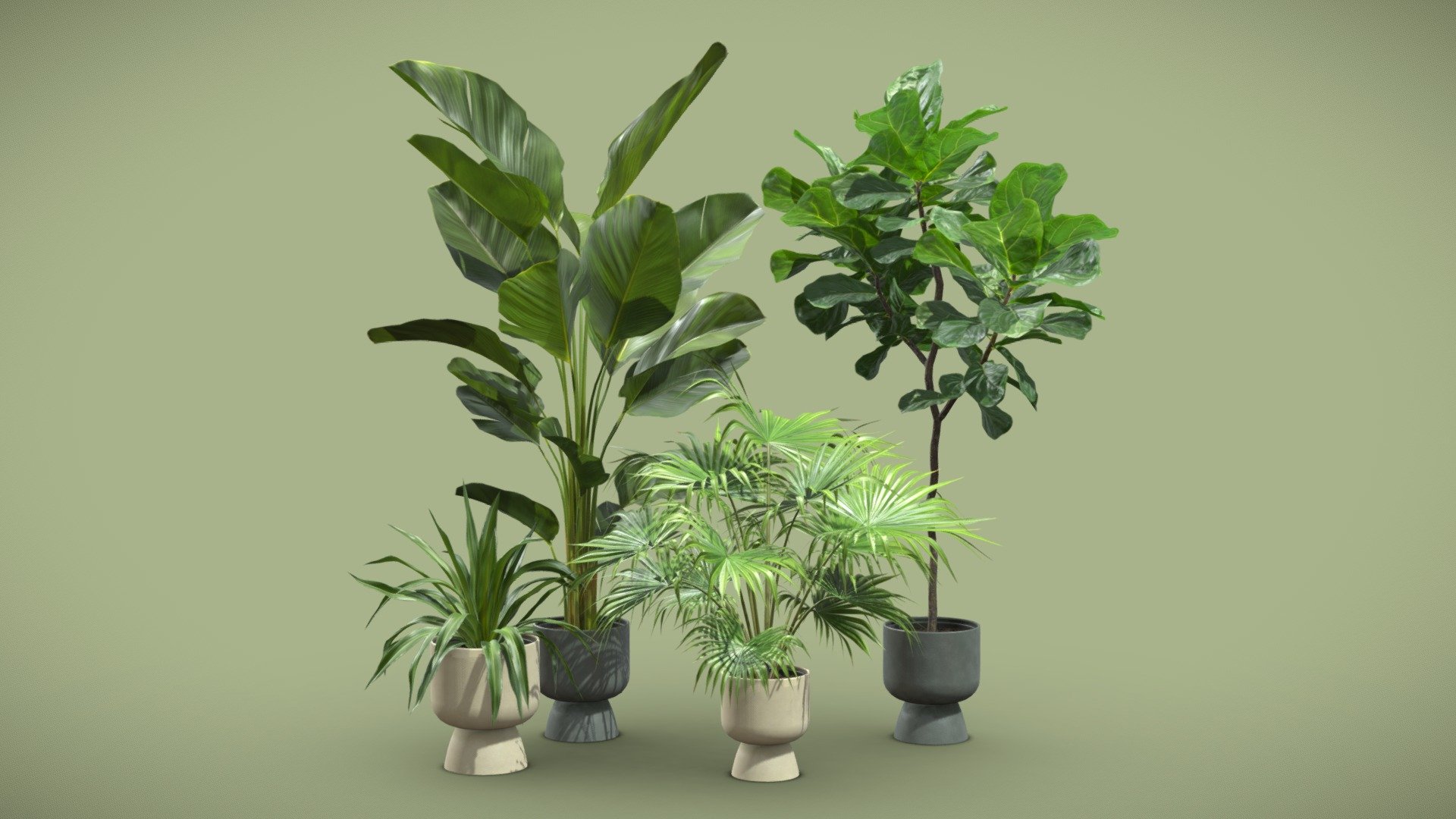 Indoor Plants Pack 73