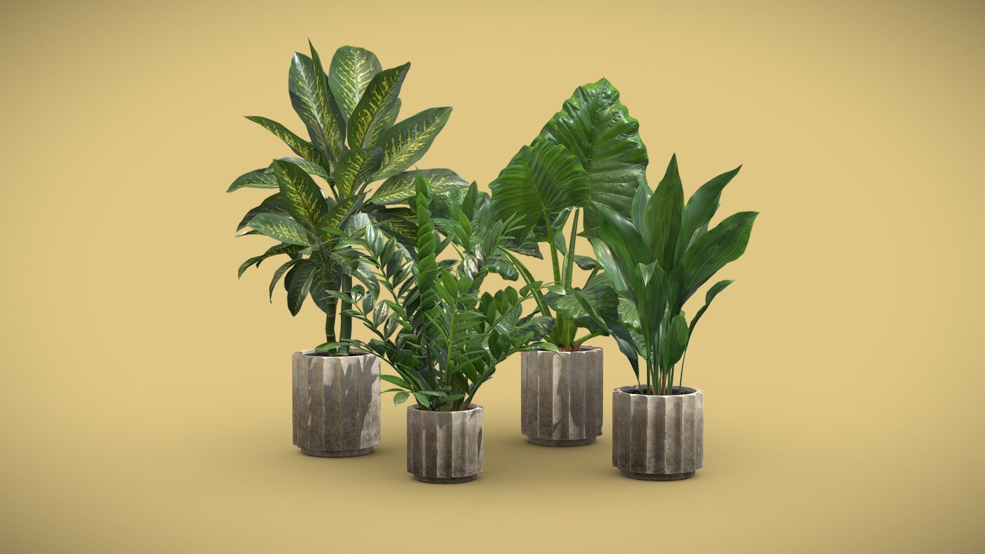 Indoor Plants Pack 74