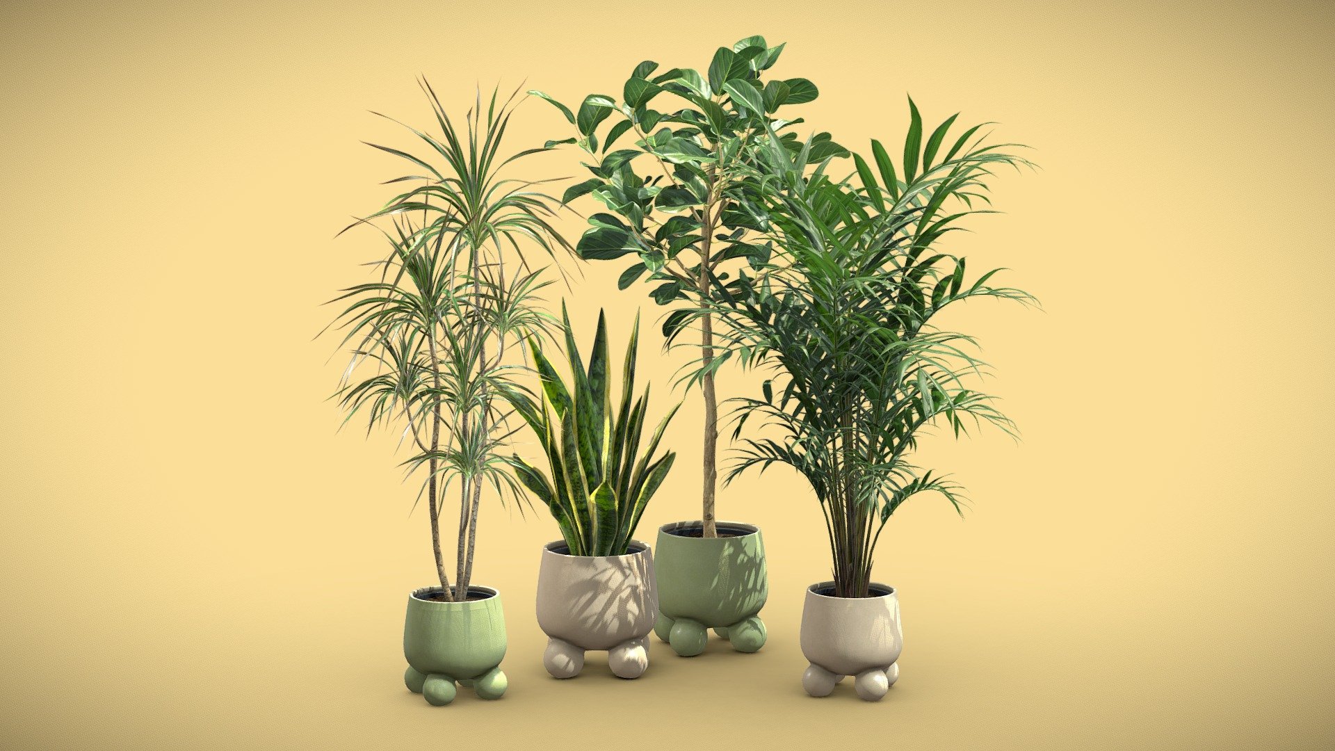 Indoor Plants Pack 75