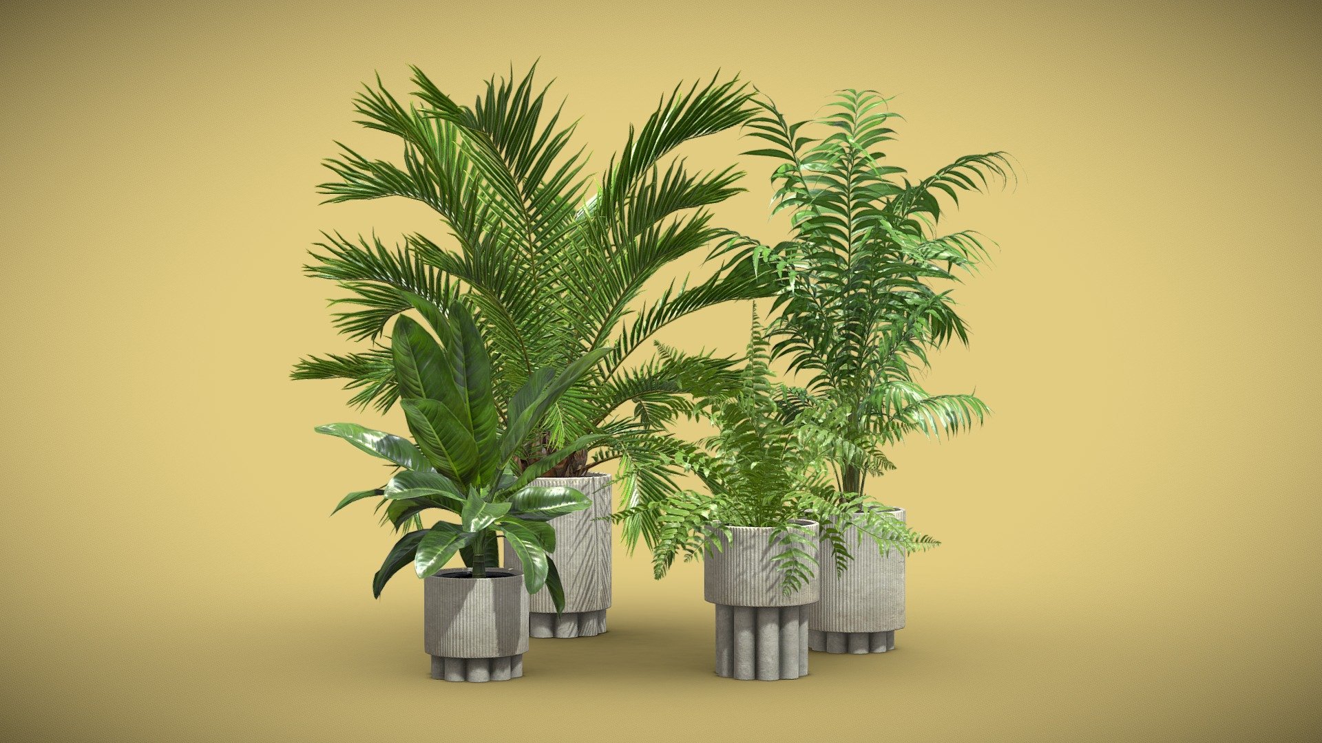 Indoor Plants Pack 76