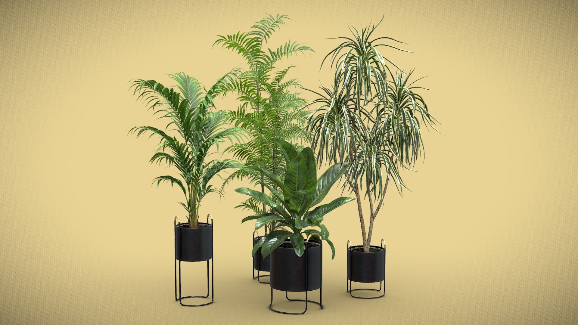 Indoor Plants Pack 77