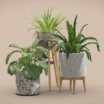 Indoor Plants Terrazzo Pack