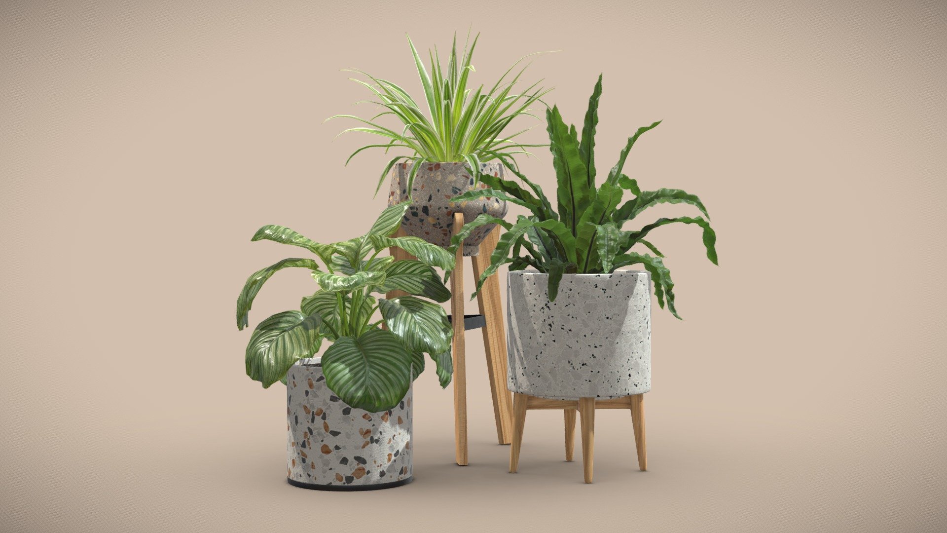 Indoor Plants Terrazzo Pack