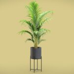 Majesty Palm Metal Stand