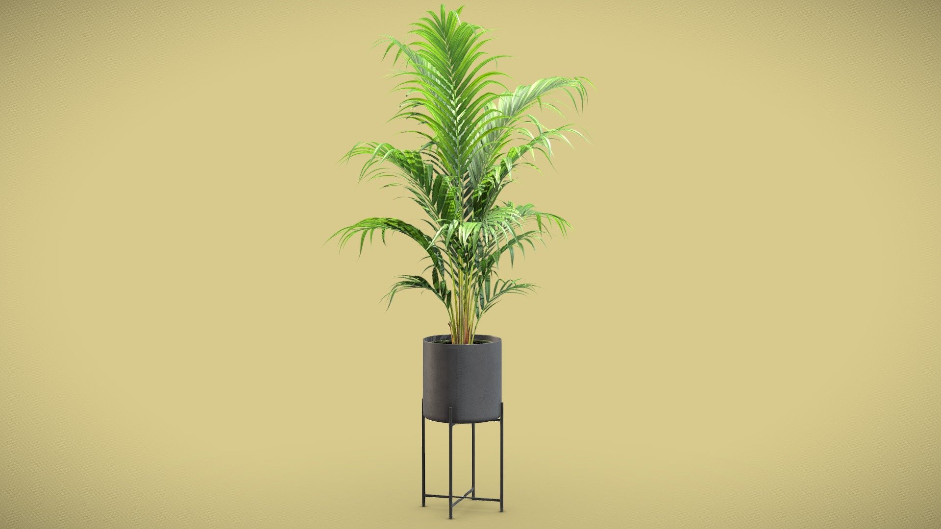 Majesty Palm Metal Stand