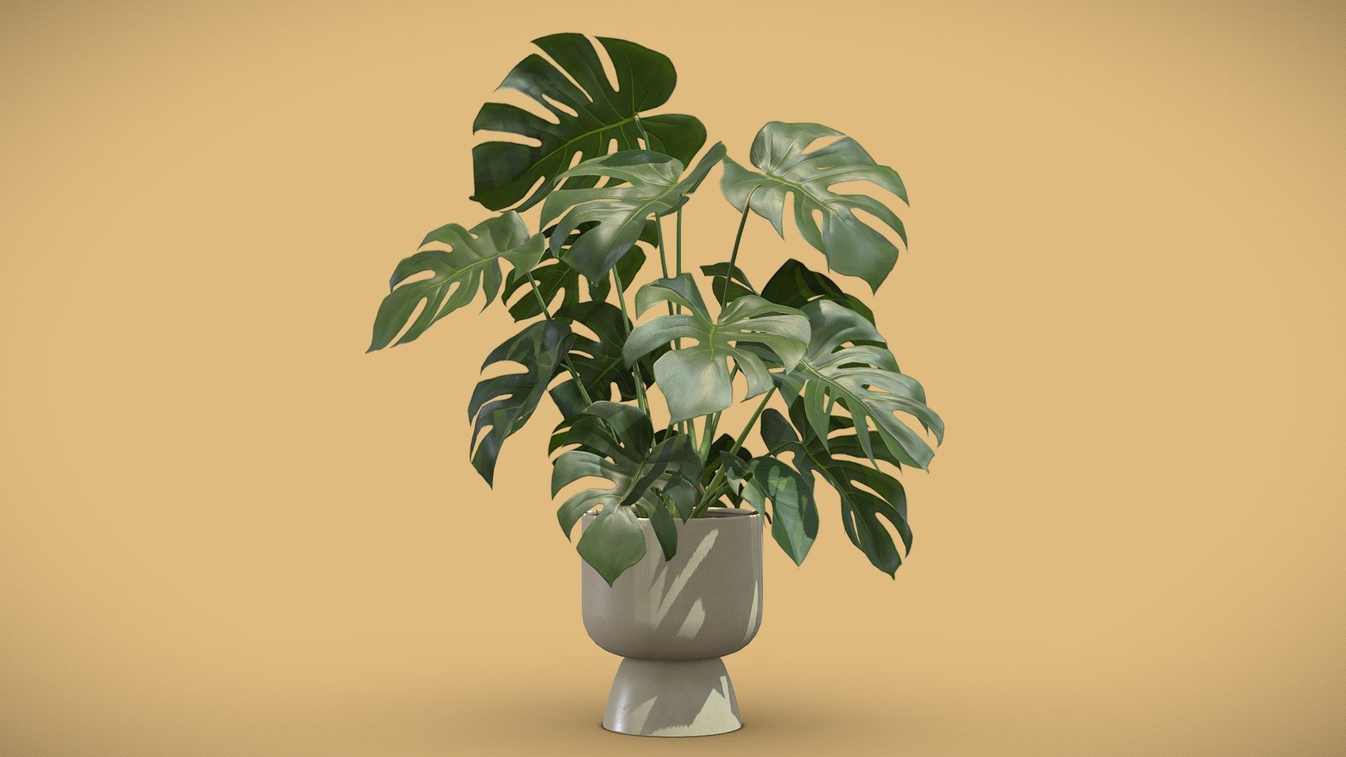 Monstera Deliciosa Beige Planter