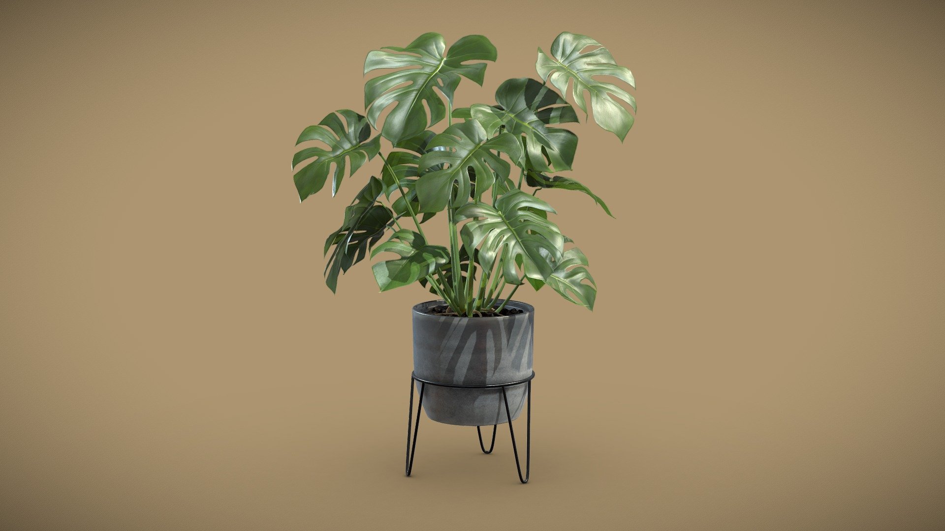 Monstera Deliciosa Pot Stand