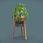 Pilea Peperomioides Wood Stand