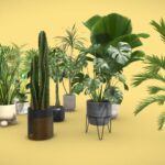 Plants Collection for Archviz 02 – 20 MODELS