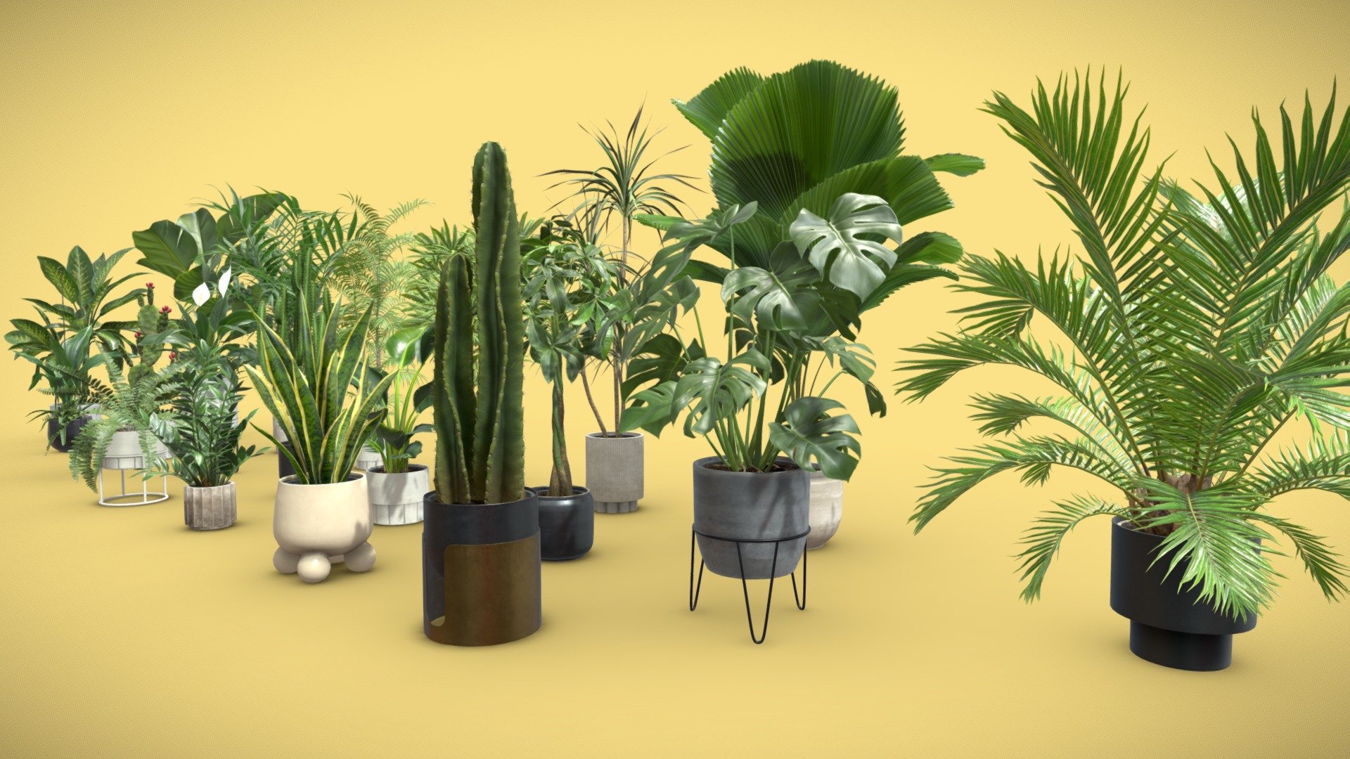 Plants Collection for Archviz 02 – 20 MODELS