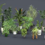 Plants Collection for Archviz – 20 MODELS