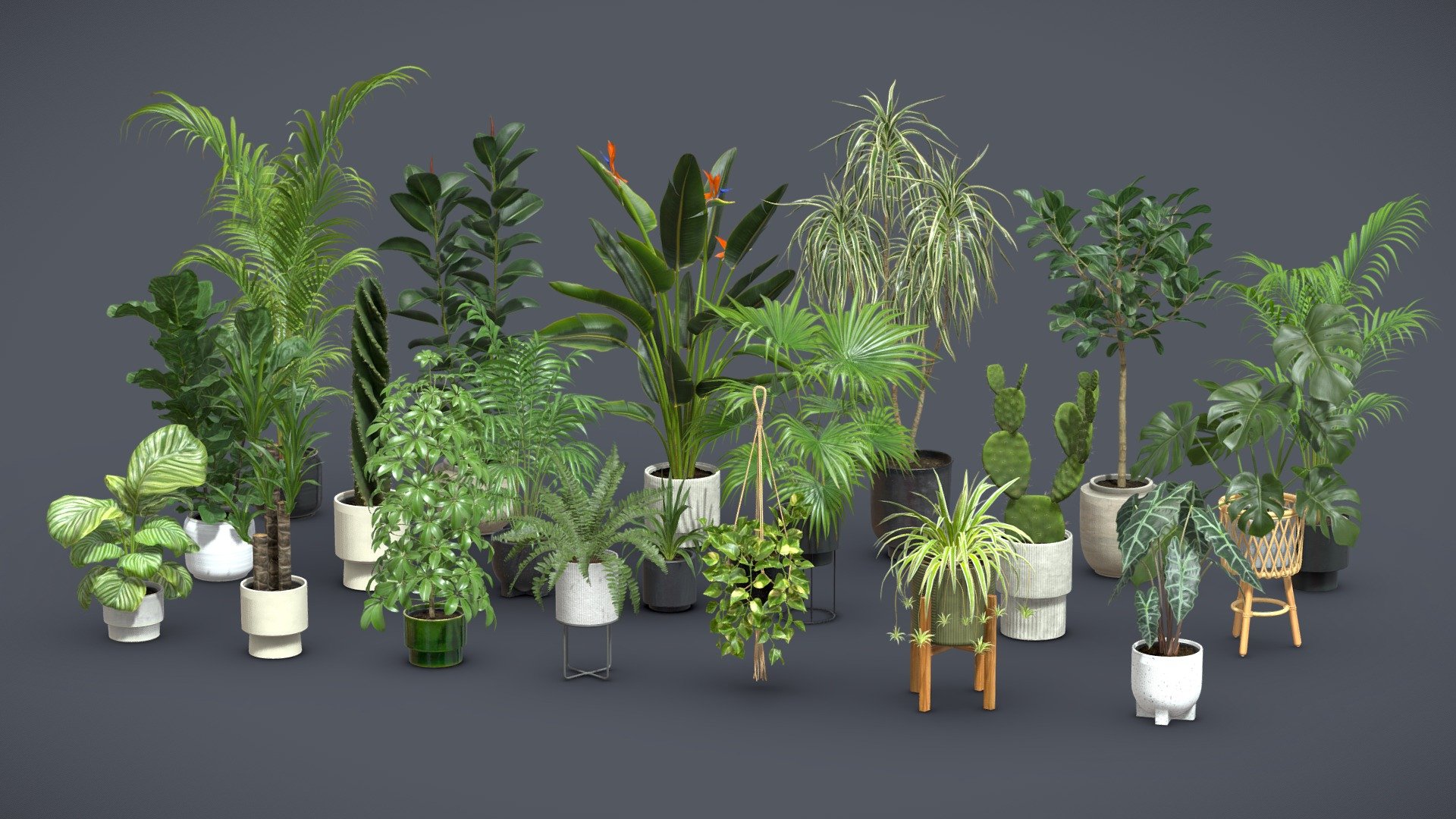 Plants Collection for Archviz – 20 MODELS