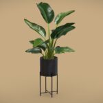 Strelitzia Nicolai Metal Stand